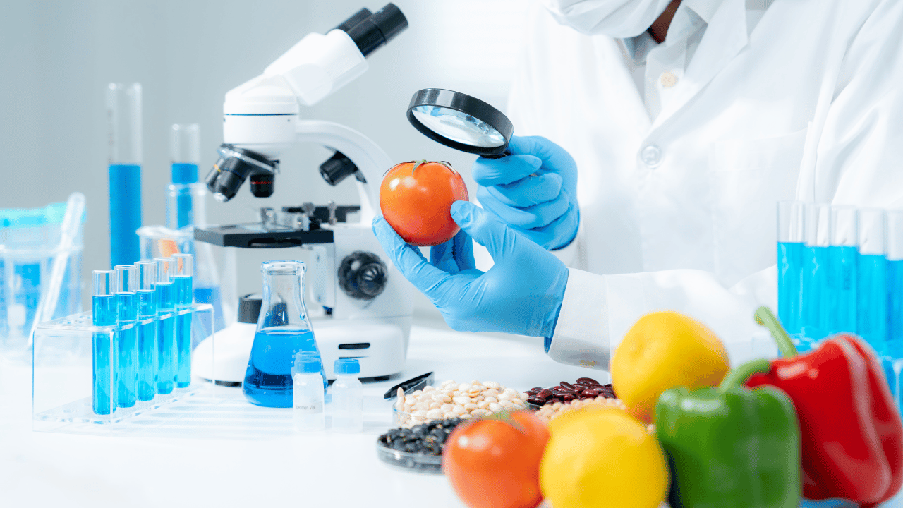 HACCP edukacija